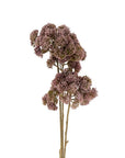 Pom Pom Floral Spray Cream