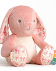 Sweetie Snuggles™ Plush