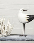 Medium Tall Bird with Long Legs