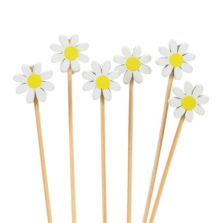 White Daisy Pick - 100pc