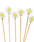 White Daisy Pick - 100pc
