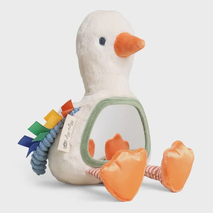 Mirror goose