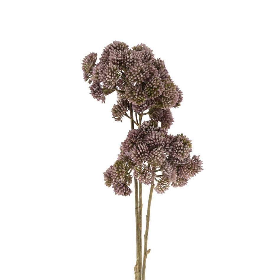 Pom Pom Floral Spray Cream