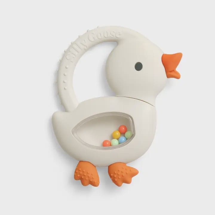 Toy duck with colorful beads inside on a white background
