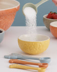 Home to Roost Measuring Spoons - Set of 4