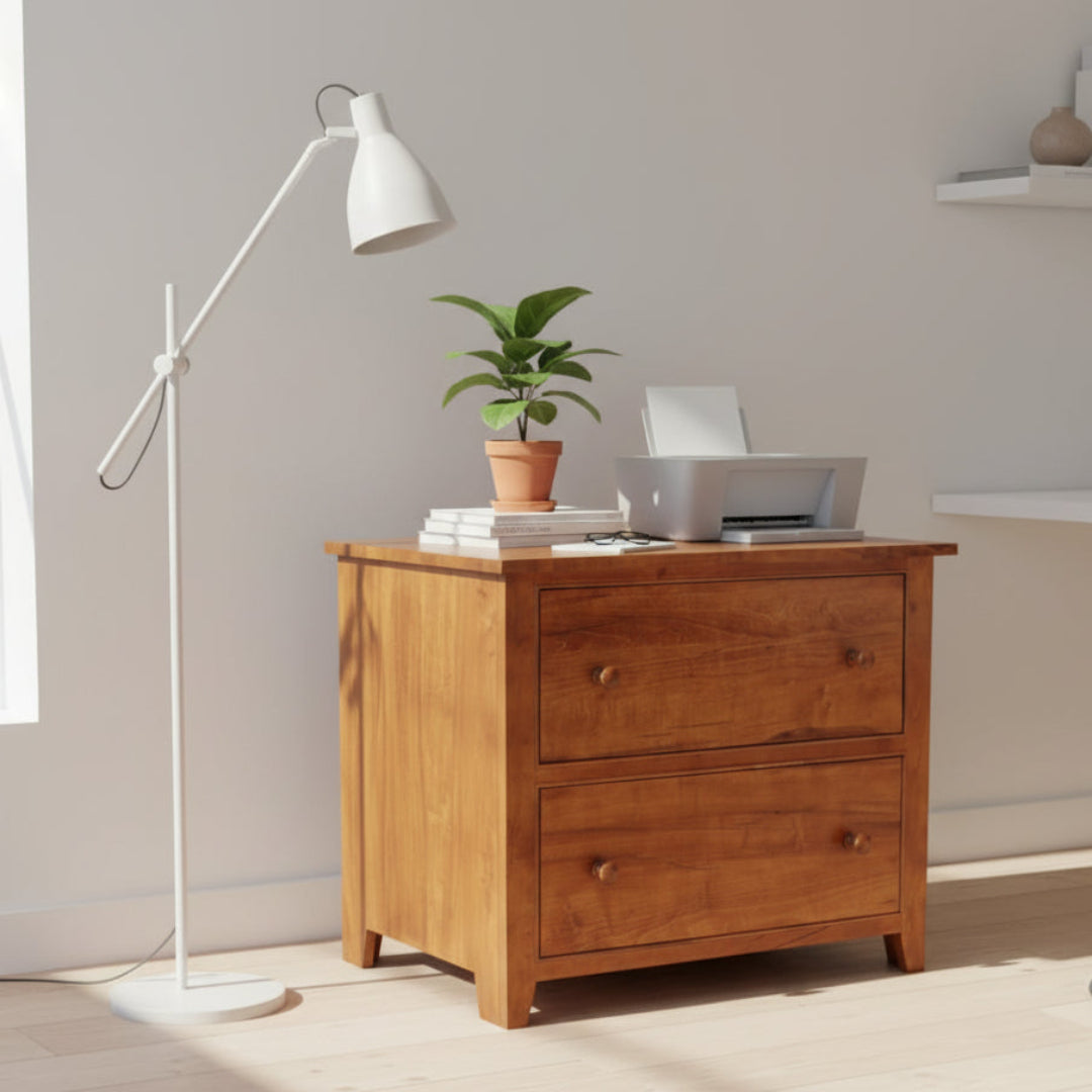A Series Filing Cabinet with 2 Drawers