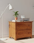 A Series Filing Cabinet with 2 Drawers